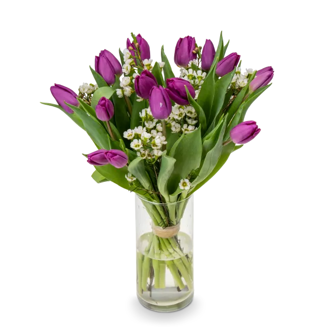 Kytice fialových tulipánů